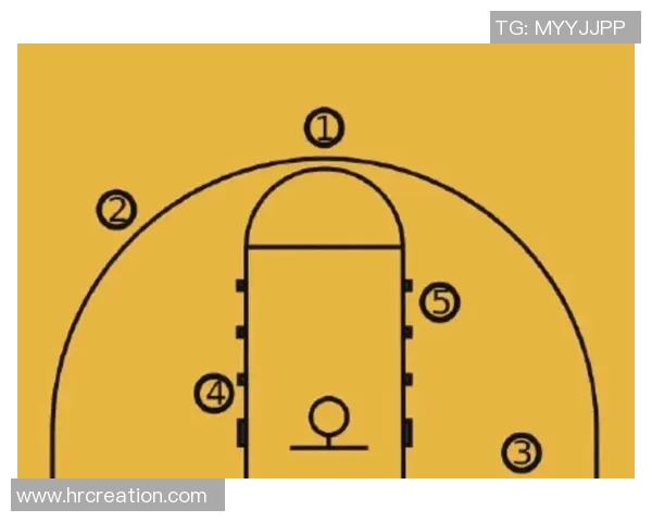 篮球新手必看：从零基础到赛场高手的全面入门指南