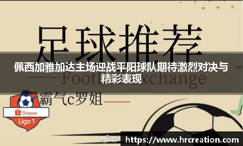 星空电子首页网站